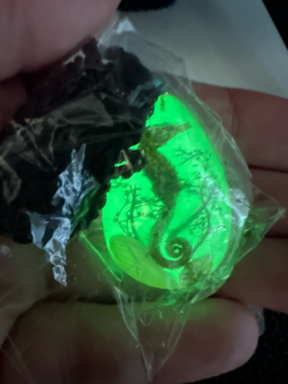 NWOT Glow Green Real Seahorse Necklace